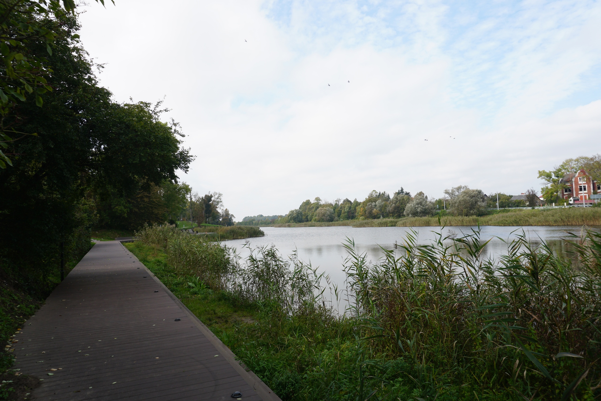 Городской парк Правдинска